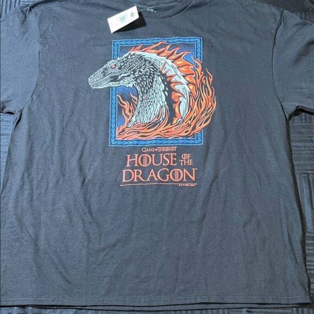 Game of Thrones House of the Dragon Graphic T-Shirt - Black- XXL